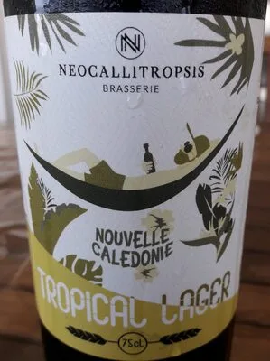 Tropical Lager